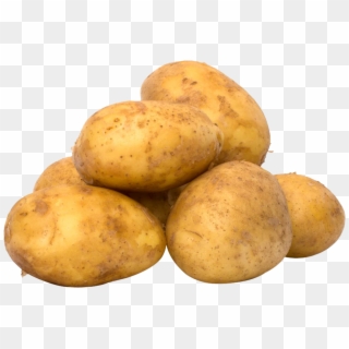 Potato Png Image - Potato Sprouts Poisonous Clipart