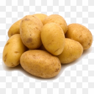 Potato Png Transparent Images - Sweet Potato Calories 100g Clipart