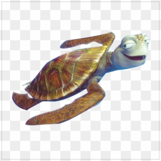 1773 X 1773 4 - Crush Turtle Clip Art - Png Download