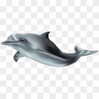 Transparent Clipart - Png Download