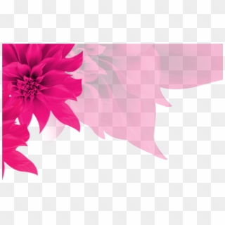Fundo Rosa Com Flores Png Clipart