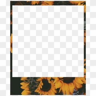 823 X 1024 8 - Aesthetic Polaroid Frame Png Clipart