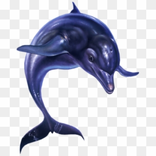 Jumping Dolphin Png - Ecco The Dolphin Png Clipart