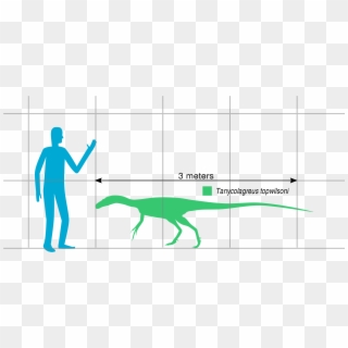 File - Tanycolagreus Scale - Svg - Lesothosaurus Clipart