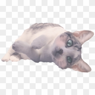 Here's A Png Of My Cat, Josie - Kitten Clipart