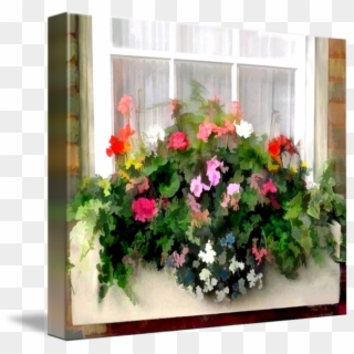 Window Box Png - Petunia Clipart