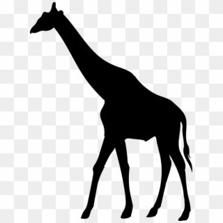 Giraffe Animal The Silhouette Safari Africa - Animal Silhouettes Giraffe Clipart
