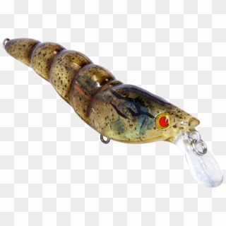 New Fishing Lures - Animal Figure Clipart