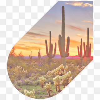 480 626 4711 Our Agents Are Available 24/7 - Sunset Beautiful Phoenix Arizona Clipart