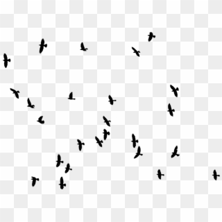 Aves Vector Png - Birds Photoshop Clipart