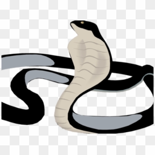 Black Mamba Clipart Snake Tongue - Black Mamba Png Transparent Png