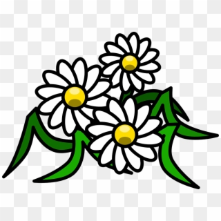 Flowers Cartoon Png - Daisy Clipart Transparent Png