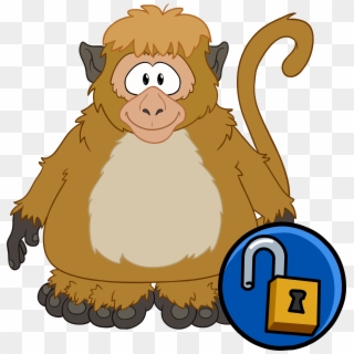 Monkey Club Penguin Wiki Fandom Powered By - Club Penguin Monkey Clipart