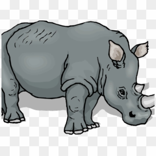 Jpg Library Download Rhino Clipart - Animals Drawing To Coloring - Png Download