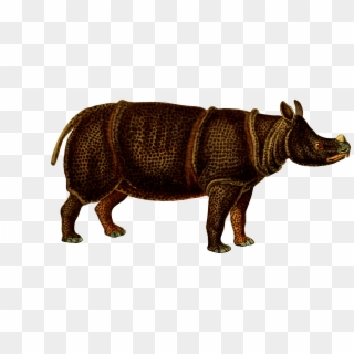 This Free Icons Png Design Of Rhinoceros 4 - Buffon Animal Clipart