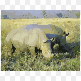 This Free Icons Png Design Of Rhinoceros In South Africa - Africa Clipart