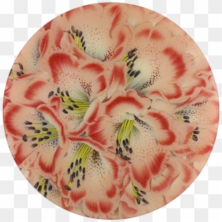 Peruvian Lily Clipart