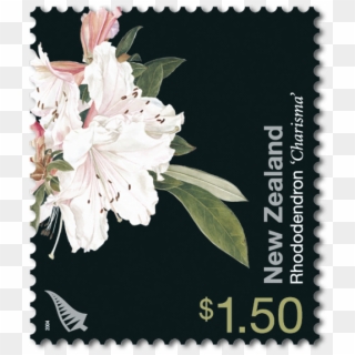 Single Stamp - Jasmine Clipart