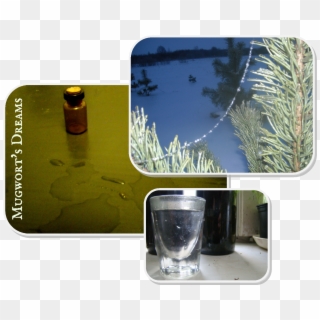 Herbal Tinctures Ii - Alcoholic Beverage Clipart