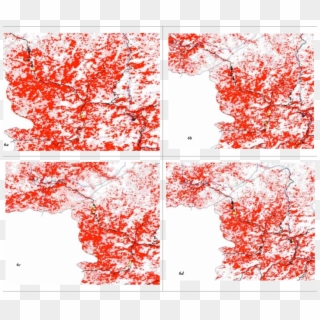 Niche Model Predictions And Field Validation For Rhododendron Clipart