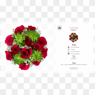 Red Candy Apple - Floribunda Clipart