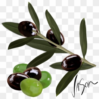 A Taste For Olives - Tasmannia Clipart