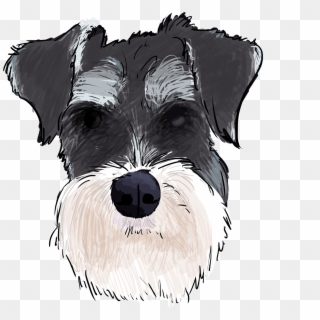 5 Why Are You A Schnauzer - Miniature Schnauzers Cartoon Png Clipart