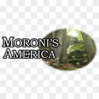 "moroni's America" The North American Setting For The - Capleton Rise Them Up Clipart