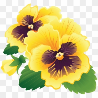 Pansy Clipart Transparent - Flower - Png Download