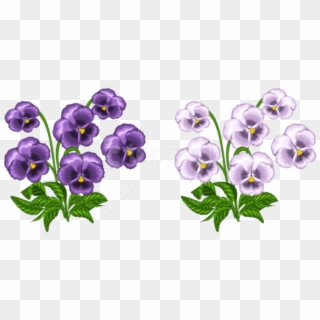 Download Purple And White Violets Png Images Background - Violets Clipart Transparent Png