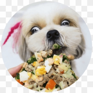 Barking Good - Human-grade Ingredients - Companion Dog Clipart
