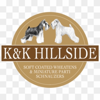 K&k Hillside Soft Coated Wheaten Terriers - Standard Schnauzer Clipart