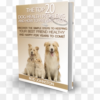 The Top 20 Dog Health Problems And How To Prevent Them - Kromfohrländer Clipart