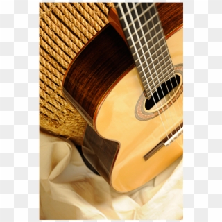 Senior-05 Side2 - Acoustic Guitar Clipart