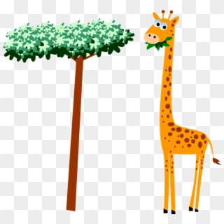Giraffe Neck Cartoon Wildlife Safari Animal - Giraffe Clipart