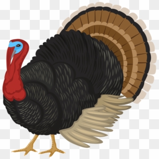 Turkey Png Clipart - Domesticated Turkey Transparent Png