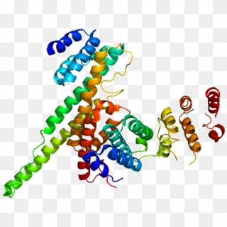 Protein Nup107 Pdb 3cqc - Nucleoporinas Clipart