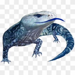 Blue Tongue Management Established - Monitor Lizard Clipart