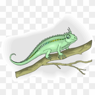 Chameleon - Cartoon Clipart