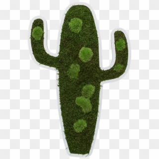 Cactus Pictogram 60 Cm - Chlorophyta Clipart