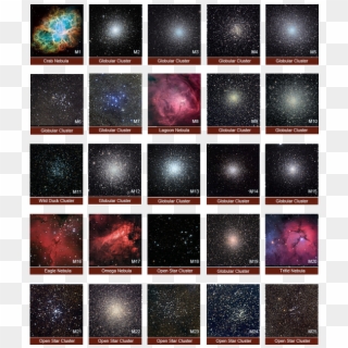 The Menagerie - Galaxy Clipart