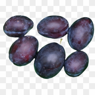 Three Types Of Plum Are Commonly Grown In Utah - Varieties Of Plums Clipart