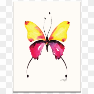 Watercolor Butterfly 9 Wall Art - Yellow And Pink Butterfly Clipart