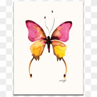 Watercolor Butterfly 10 Wall Art - Pink And Yellow Butterfly Real Clipart