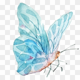 #watercolor #butterfly - Watercolor Butterfly Transparent Png Clipart