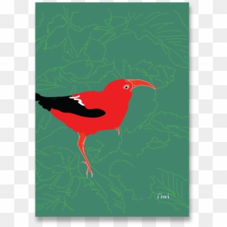 Iiwi Notecard - Cardinal Clipart