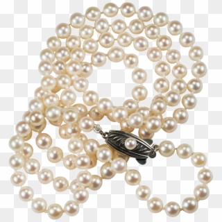 Classic Mikimoto Pearl Strand Necklace ~ These Luxurious - Pearl Clipart