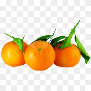 Free Png Tangerines With Leaves Png Images Transparent - Tangerines Png Clipart