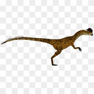 Dilophosaurus , Png Download - Velociraptor Clipart