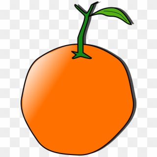 Orange Fruit Tangerine Manderin Png Image - Orange Clip Art Transparent Png